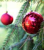 Schossberghof-Oeffnungszeiten-Weihnachten