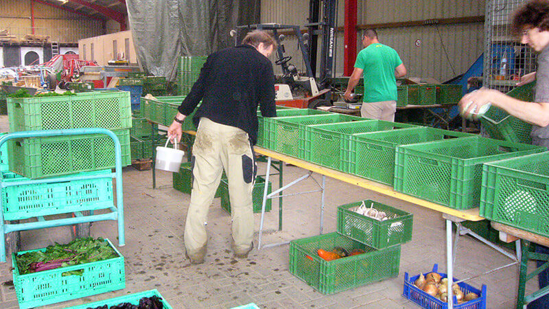 Schossberghof SoLawi Minfeld Abholung Bio-Kiste