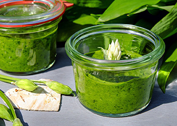 Schoßberghof Pesto