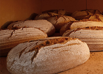 Schoßberghof Brot selbstgebacken Steinofen