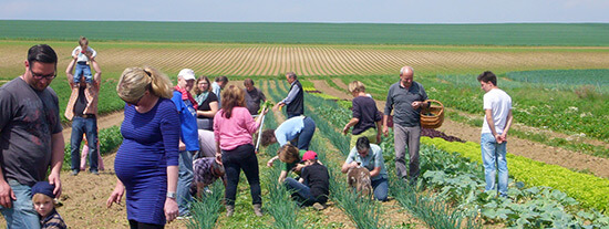 Personen SoLawi Minfeld Ernte Feld Schoßberghof